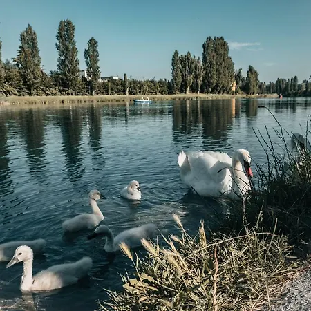 Διαμέρισμα La Forgia *