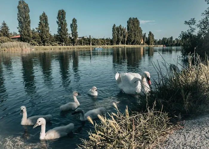 Διαμέρισμα La Forgia *